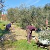 Ramarella: un luogo dove “germoglia” il bilancio sociale di Koinè