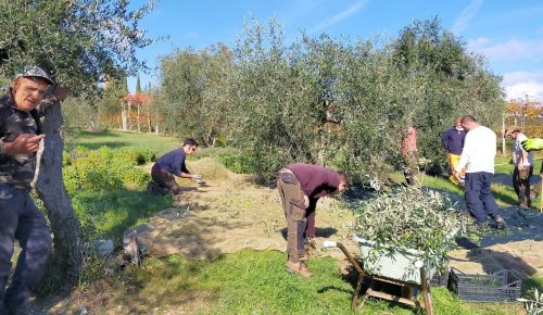 Ramarella: un luogo dove “germoglia” il bilancio sociale di Koinè