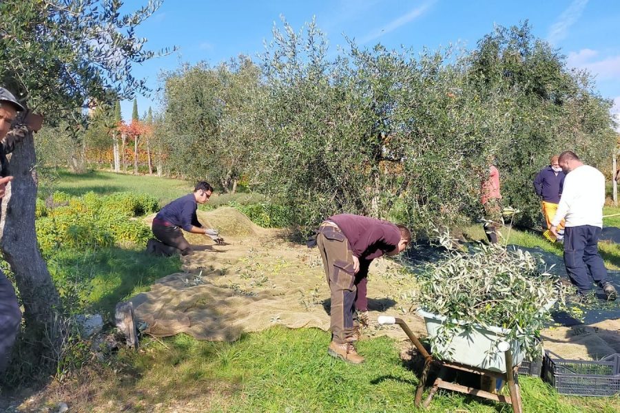 Ramarella: un luogo dove “germoglia” il bilancio sociale di Koinè