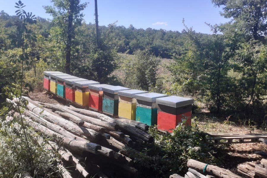 Koinè e Ramarella: il miele della fattoria sociale al convegno nazionale sull’agricoltura sociale