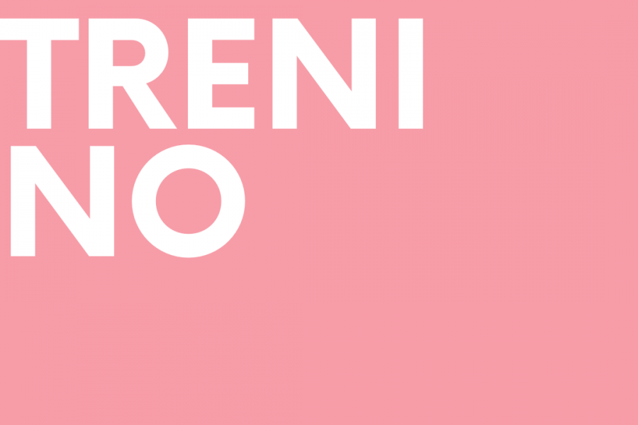 Trenino